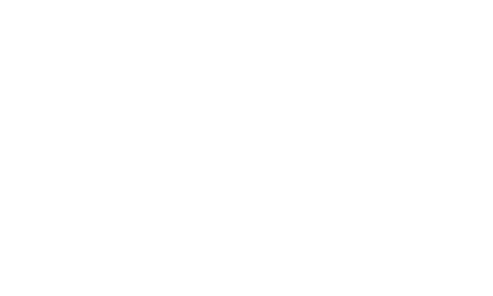 THE VISION HER